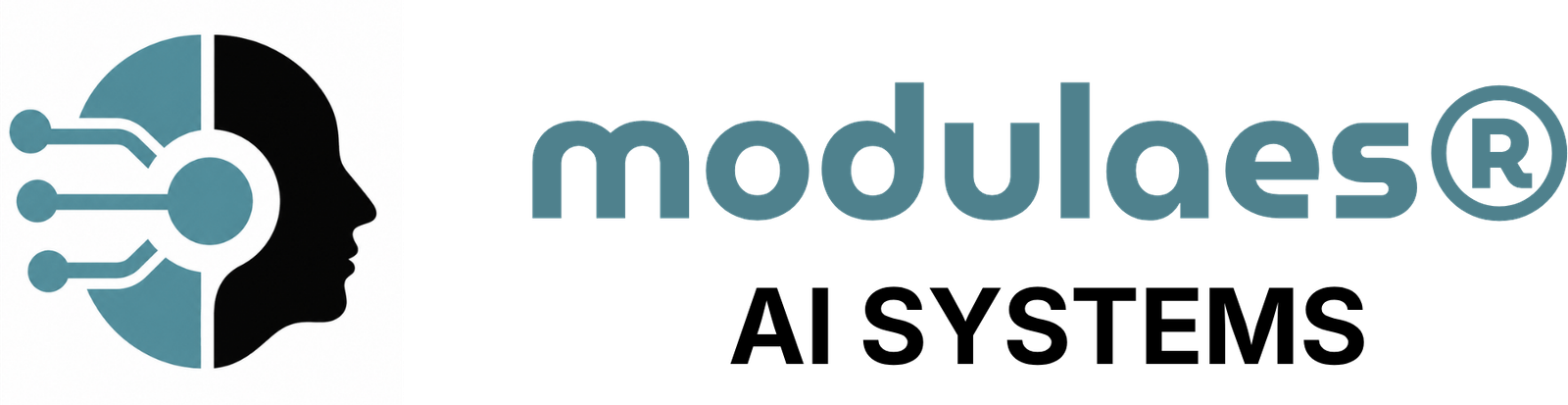 Modulaes AI Systems