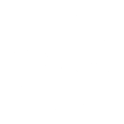 Logo oportunidadynegocio.es (250x250) tranparente blanco
